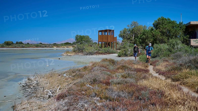Two hikers on a path next to an observation tower and vegetation, salt lake, Tigaki, nature reserve, hydro biotope, Kos, Dodecanese, Greek Islands, Greece