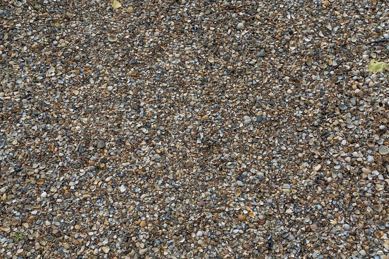 Shell gravel as paving, background, texture, Netherlands