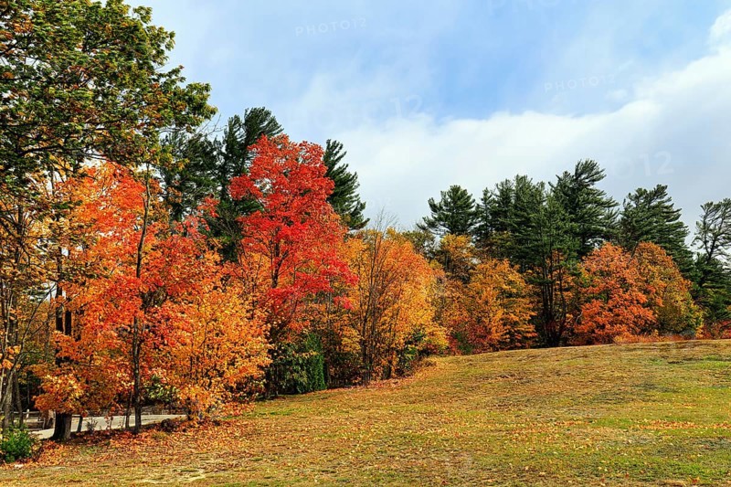 Fall leaves, Indian summer, sunny fall weather, North Conway, White Mountain, New Hampshire, New England, USA