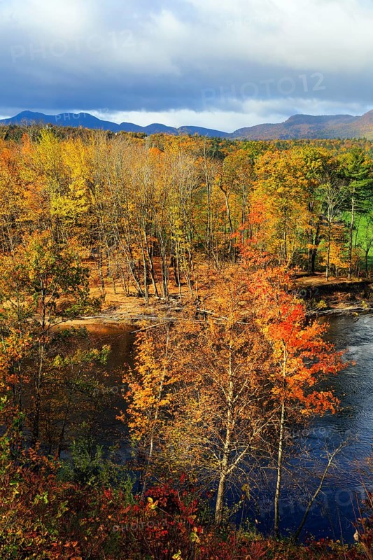 Riverbank, riverfront, Saco River in Mount Washington Valley, fall leaves, Indian summer, sunny weather, Conway, Kancamagus Highway, White Mountain, New Hampshire, New England, USA