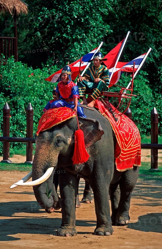 Performance with elephants at Samphran Elephant Ground and Zoo near Bangkok, Thailand, December 2002, vintage, retro, old, historic