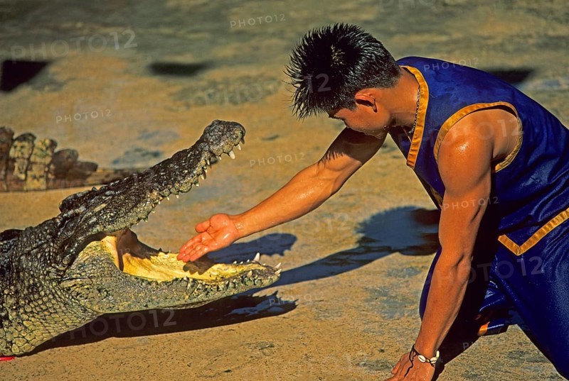 Performance with crocodiles at Samphran Elephant Ground and Zoo near Bangkok, Thailand, December 2002, vintage, retro, old, historic