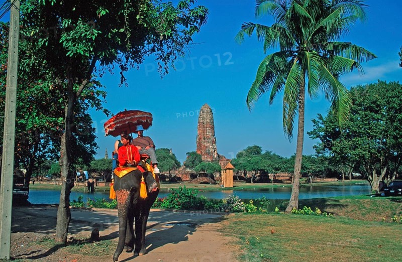 People, tourists, palm tree, temple ruins, riding on an elephant through ancient sights, Ayutthaya, Thailand, December 2002, vintage, retro, old, historical