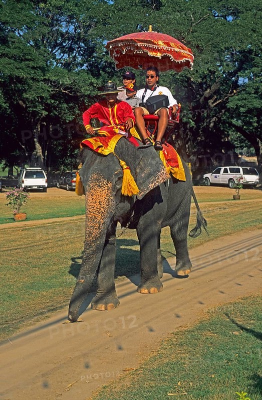 People, tourists, riding on an elephant through ancient sights, Ayutthaya, Thailand, December 2002, vintage, retro, old, historic