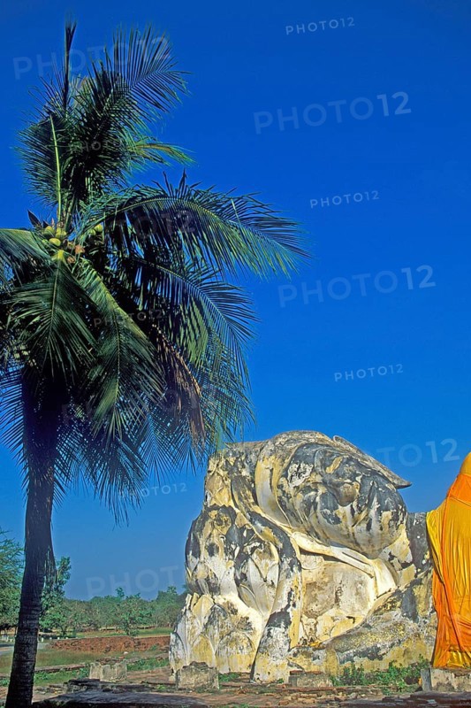 Palm tree, statue of the reclining Buddha, Ayutthaya, Thailand, December 2002, vintage, retro, old, historic