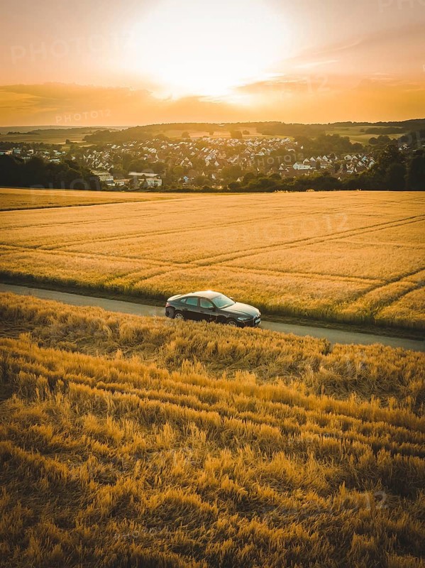 Extensive landscape view of a car on a road through a cornfield at sunset, BMW i7 electric car, deer e-car sharing, Calw, Germany
