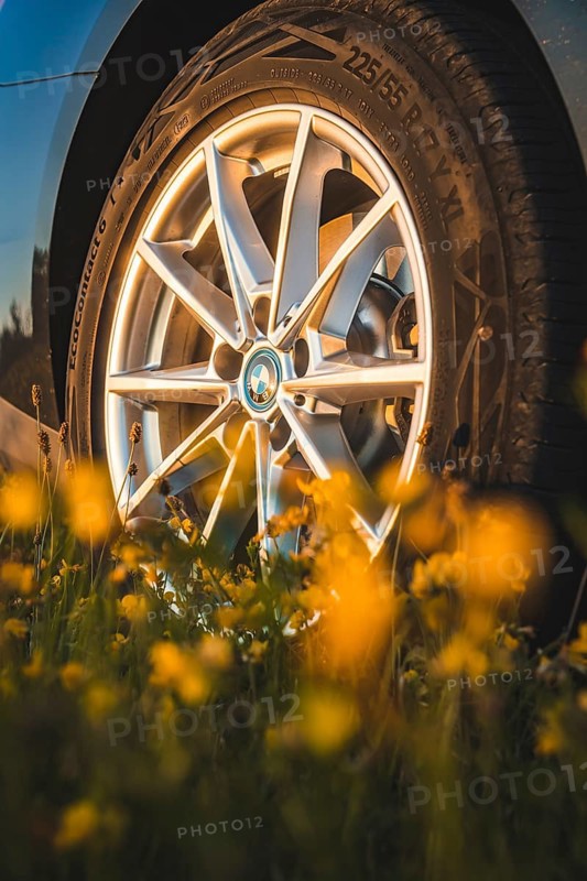 Car rim in focus, framed by yellow flowers, BMW i7 electric car, Deer e-Carsharing, Calw, Germany
