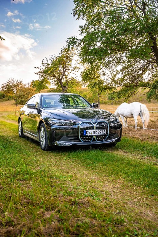 Black electric car on a green field next to a horse, atmospheric evening sun through the trees, BMW i7 electric car, deer e-car sharing, Calw, Germany