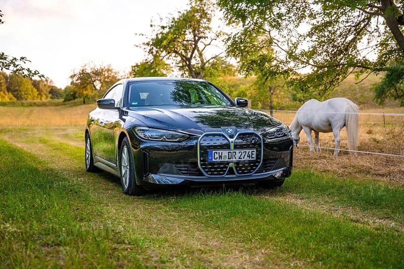 Black electric car standing in a meadow next to a white horse, trees in the background at sunset, BMW i7 electric car, Deer e-Carsharing, Calw, Germany