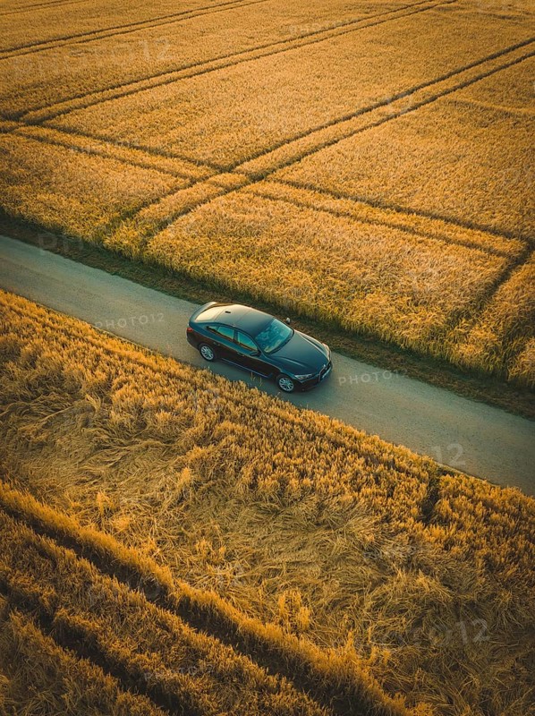 A dark car drives on a paved road surrounded by cornfields at dawn or dusk, BMW i7 electric car, deer e-car sharing, Calw, Germany