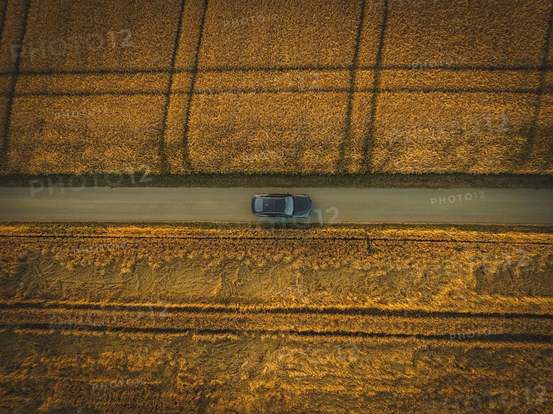 Top view of a car driving on a narrow path between golden fields in quiet countryside, BMW i7 electric car, Deer e-Carsharing, Calw, Germany
