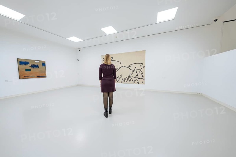 Woman looking at a work of art in a bright, minimalistic gallery space, Schauwerk, Sindelfingen, Germany