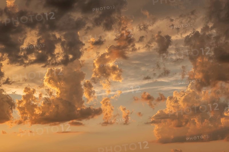 A brilliant sunset casts warm colors across a cheerful meadow. Dark clouds dominate the sky, while golden light penetrates and creates a dramatic and peaceful atmosphere. Bas Rhin, Alsace, France