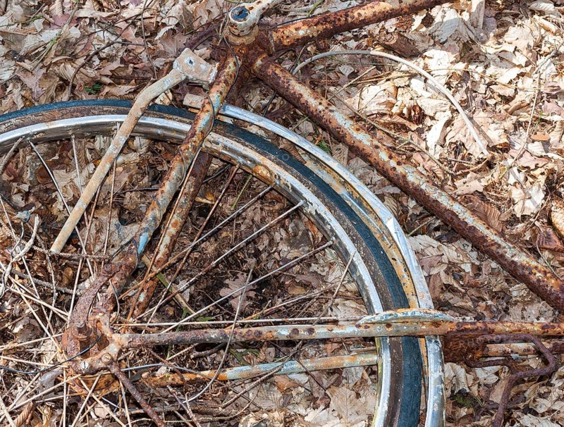 Destroyed, rusty bicycle wreck in the forest, broken Dutch bike, old bicycle lying damaged on the forest floor covered with leaves, weathered wreck, forgotten, rusted, defective, stolen and broken wheel disposed of as trash, rear wheel and frame, bicycle frame, trash, scrap, scrap tire, decline, scrap metal, demolished, vandalism, illicit waste Disposal in nature, leaves, autumn, decline, Lüneburg district, Lower Saxony, Germany