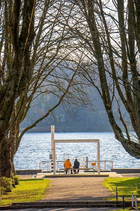 Winter at Lake Baldeney in Essen, Strandbad boat stop, closed in winter, tree-lined avenue leading to the lakeside path, sunny, cold, North Rhine-Westphalia, Germany