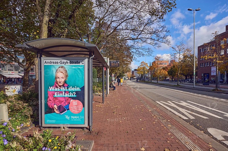 Bus stop Andreas-Gayk-Straße C, bus lane, bus shelters, advertising poster, advertisement NAH.SH The public transport, lantern, road, lane marking taxi, trees, autumn leaves, flower bed, blue sky, cumulus clouds, Andreas-Gayk-Straße, Kiel, state capital, district-free city, Schleswig-Holstein, Germany