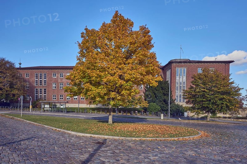 Norway maple (Acer platanoides), brick building, Ministry of Finance, street, central island, bus stop Reventloubrücke, cobblestone pavement, trees with autumn leaves, lawn, blue sky, cumulus clouds, Reventloubrücke, Reventlouallee, Kiel, state capital, independent city, Schleswig-Holstein, Germany