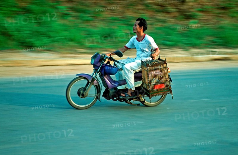 Man on moped holding birdhouses, Krabi, Thailand, December 2002, vintage, retro, old, historic