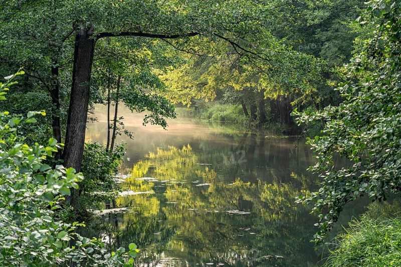 Canal or Spreewaldfließ in Spreewald near Burg, Brandenburg, Germany