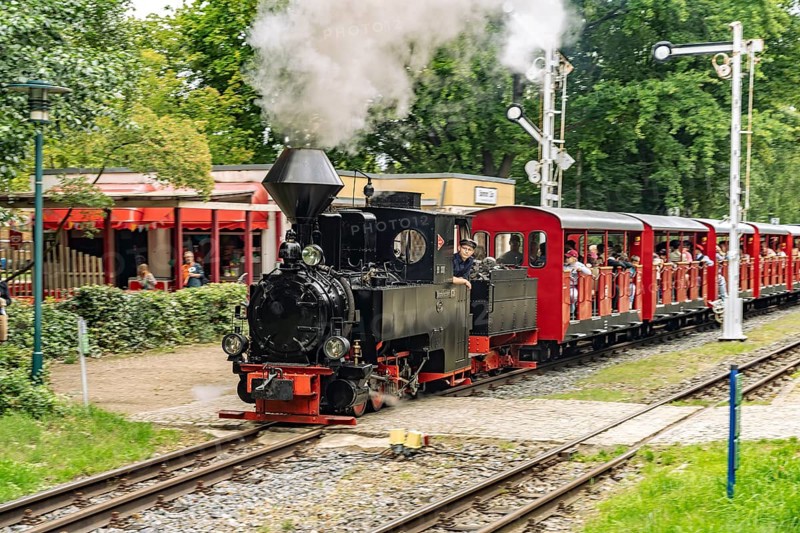 Steam locomotive 99 3301 Count Arnim in Branitzer Park, landscape park created in 1846 by Prince Hermann von Pückler-Muskau in Branitz, Cottbus, Spree-Neisse district, Brandenburg, Germany