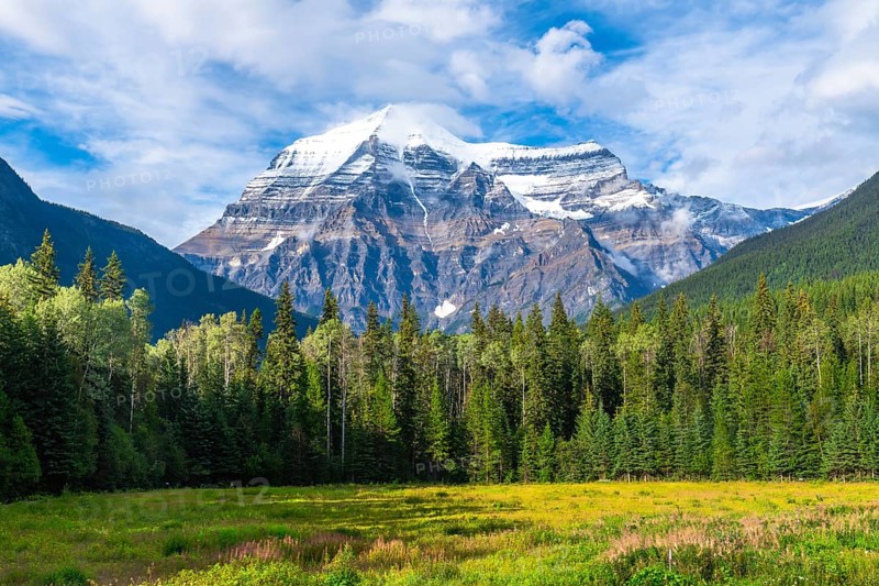Majestic mount robson rises above a lush green forest and meadow, creating a breathtaking panorama of the canadian rockies in british columbia, canada, on a sunny day with scattered clouds