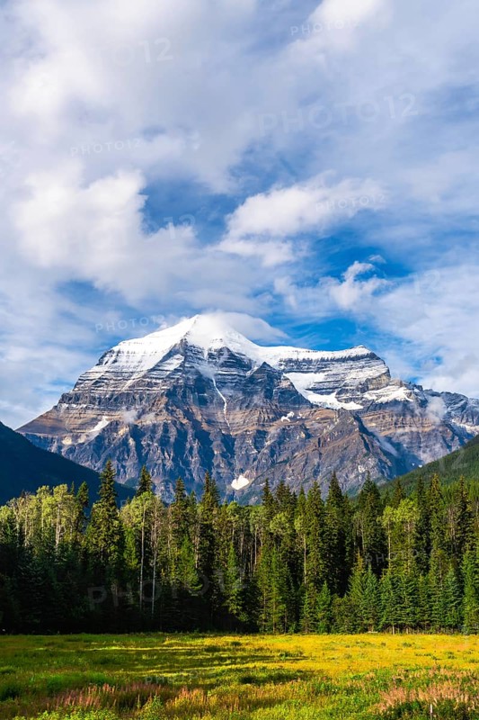 Majestic mount robson, the highest peak in the canadian rockies, towers over a lush meadow and coniferous forest, creating a breathtaking landscape in british columbia