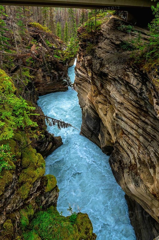 Powerful turquoise water flows through a narrow gorge carved by athabasca falls in jasper national park. Alberta. Canada. Creating a breathtaking display of nature's force and beauty beneath a bridge