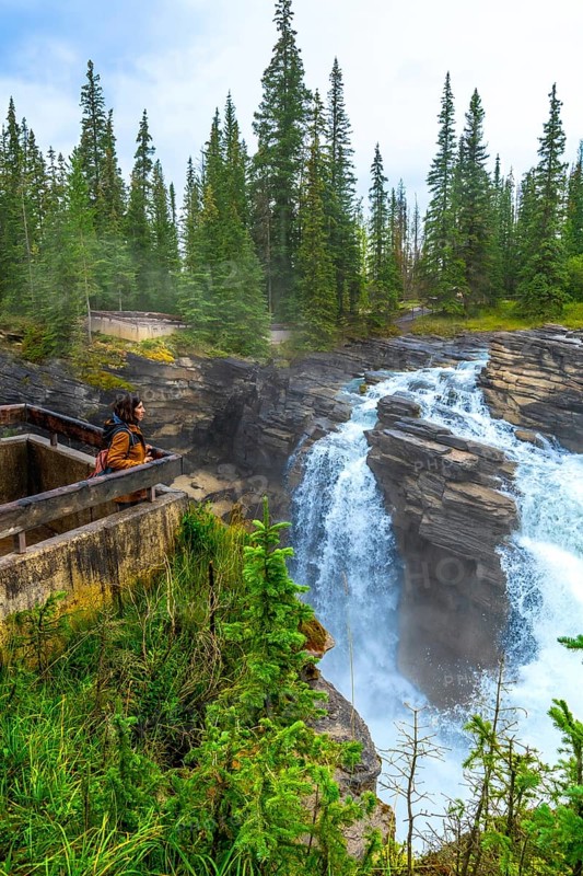 Female tourist admiring powerful athabasca falls plunging into a canyon surrounded by lush pine forest in jasper national park, alberta, canada