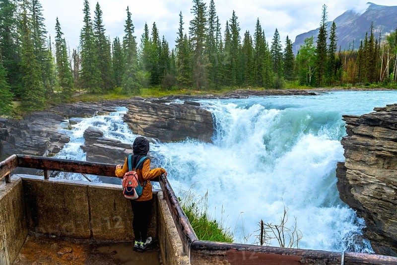 Tourist in a yellow raincoat and backpack admiring the stunning view of athabasca falls, a powerful waterfall in jasper national park, alberta, surrounded by lush forest