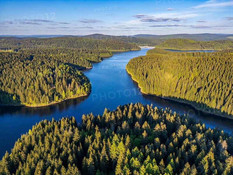 Aerial view, drone photo: spruce forest and beech trees at the Eibenstock drinking water reservoir, Ore Mountains, Saxony, Germany