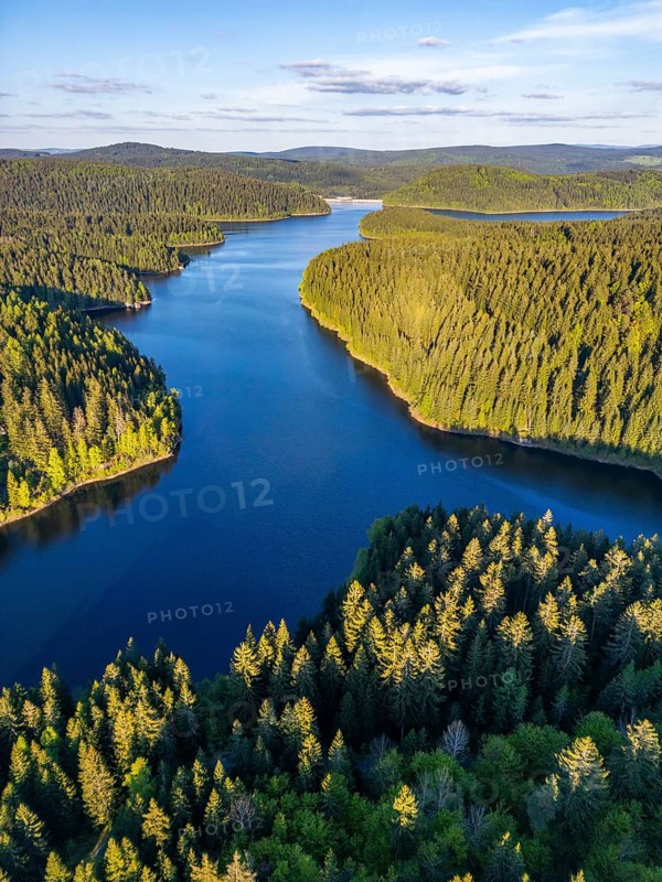 Aerial view, drone photo: spruce forest and beech trees at the Eibenstock drinking water reservoir, Ore Mountains, Saxony, Germany