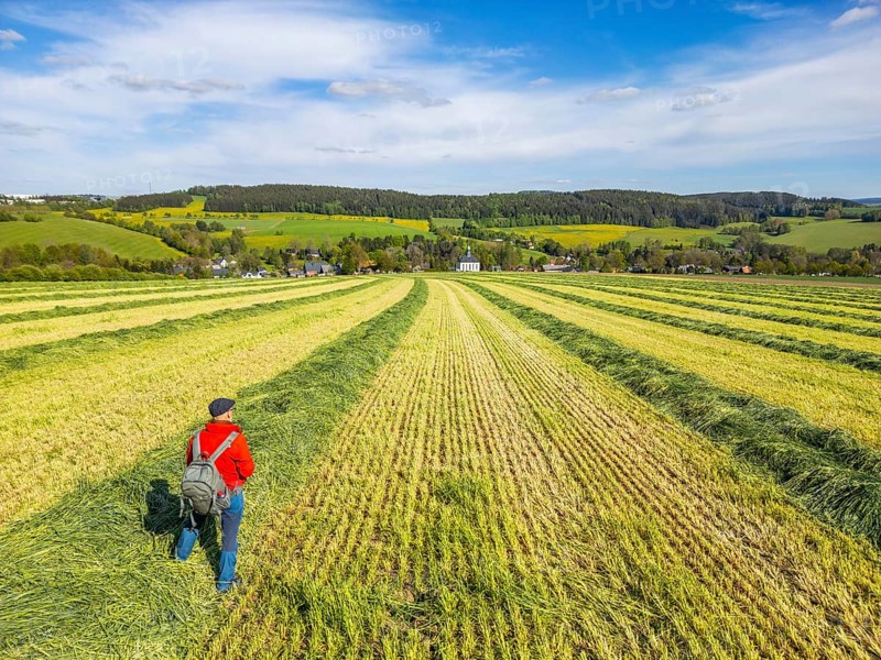 Aerial view, drone photo: Hiker standing in a freshly mown field with a view of Schwarzbach church, town of Elterlein, Ore Mountains, Saxony, Germany
