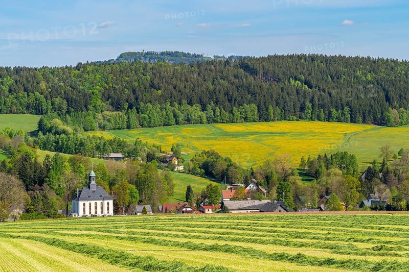 Church and houses in the village of Schwarzbach, in the back forest and blooming meadows, town of Elterlein, Ore Mountains, Saxony, Germany