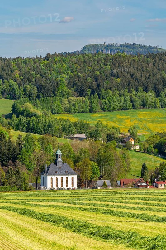 Church and houses in the village of Schwarzbach, in the back forest and blooming meadows, town of Elterlein, Ore Mountains, Saxony, Germany