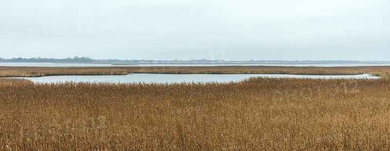 Lagoon area at the Meinigenbrücke near Zingst, panorama, Fischland-Darß-Zingst, Western Pomerania Lagoon Area National Park, Mecklenburg-Western Pomerania, Germany