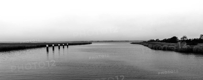 Lagoon landscape at the Meinigenbrücke near Zingst, black and white photo, panorama, Fischland-Darß-Zingst, Western Pomerania National Park, Mecklenburg-Western Pomerania, Germany