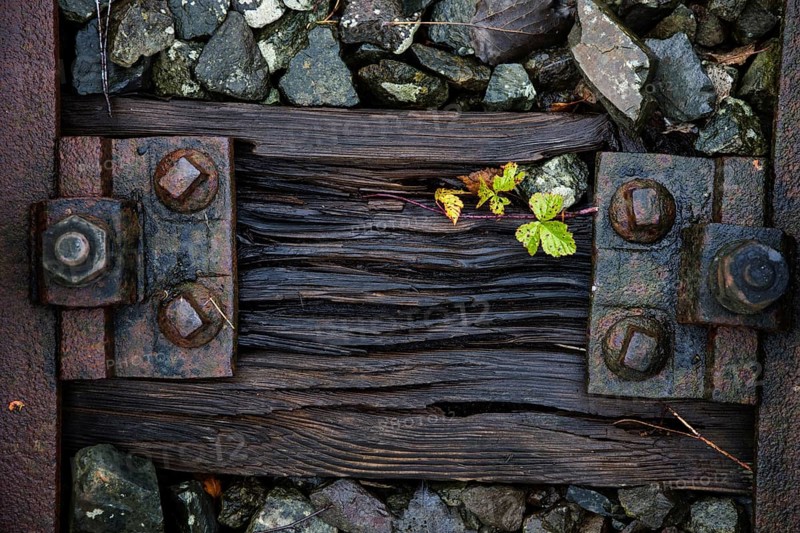 Old weathered railway threshold with rail fortification, detail photo, near Bresewitz station, near Zingst, Mecklenburg-Western Pomerania, Germany