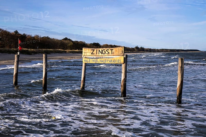 Wooden poles in the sea with wooden sign Zingst Half Island Half Paradise, Zingst, Fischland-Darß-Zingst, Western Pomerania Lagoon Area National Park, Mecklenburg-Western Pomerania, Germany