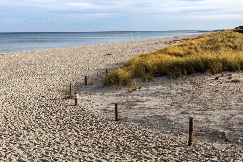 Beach and sea, Prerow, Fischland-Darß-Zingst, Western Pomerania Lagoon Area National Park, Mecklenburg-Western Pomerania, Germany