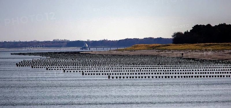 View from the pier to the beach and groves, panorama, Prerow, Fischland-Darß-Zingst, Western Pomerania Lagoon Area National Park, Mecklenburg-Western Pomerania, Germany