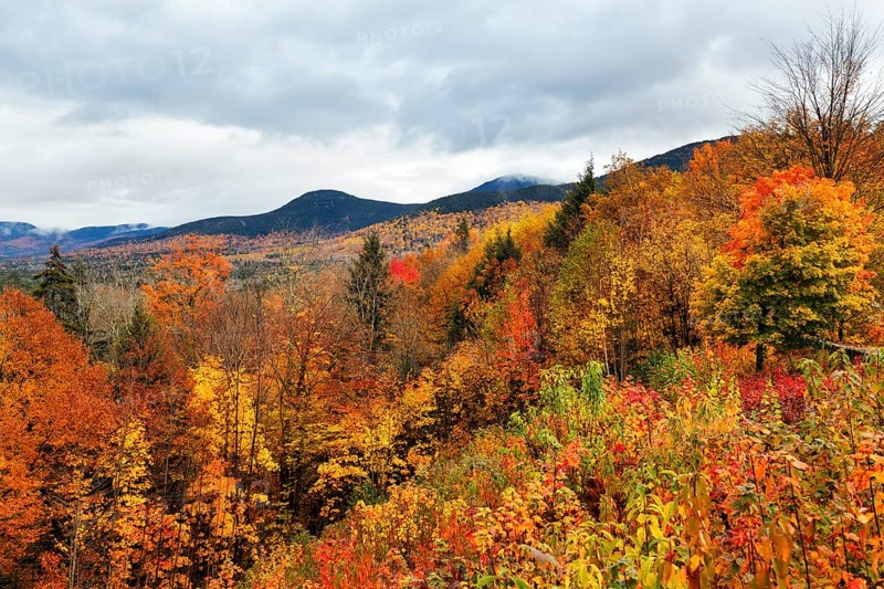 Scenic View, Panoramic View, Fall Leaves, Indian Summer, Fall Weather, Sugar Hill Observation Deck, Kancamagus Highway, White Mountain, New Hampshire, New England, USA