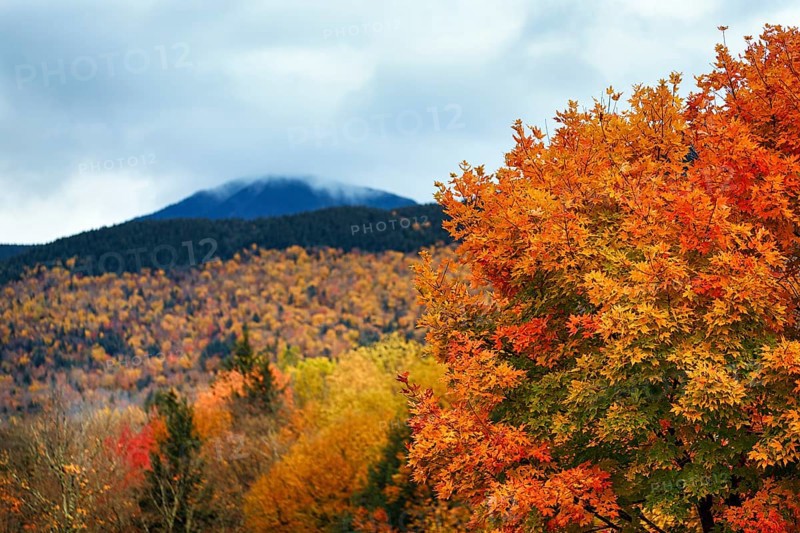 Scenic View, Fall Leaves, Indian Summer, Sugar Hill Observation Deck, Kancamagus Highway, White Mountain, New Hampshire, New England, USA