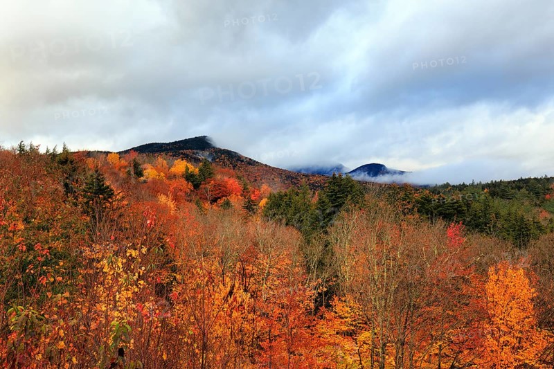 Scenic View, Fall Leaves, Indian Summer, Fall Weather, Sugar Hill Observation Deck, White Mountain, New Hampshire, New England, USA