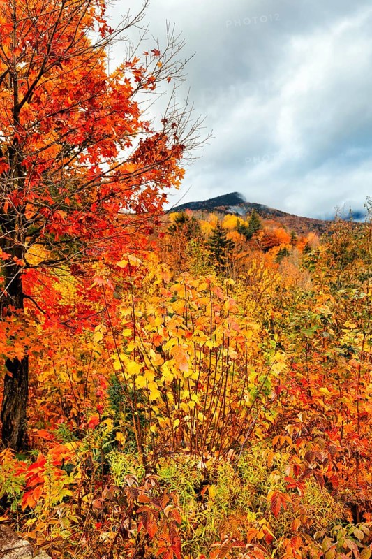 Scenic View, Fall Leaves, Indian Summer, Fall Weather, Sugar Hill Observation Deck, White Mountain, New Hampshire, New England, USA