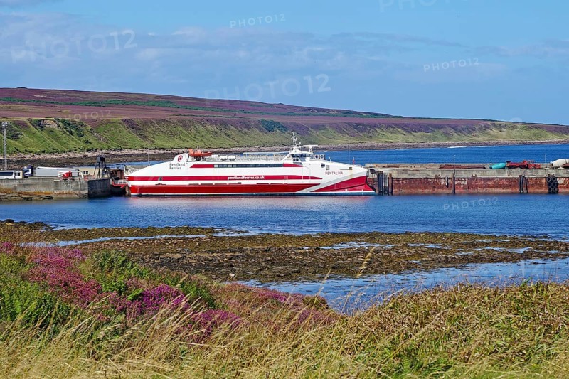 Ferry in harbour in front of a quiet coastal landscape with purple heath, catamaran, ferry to St. Margarets Hope, Orkney Islands, Orkneys, Scotland, Great Britain
