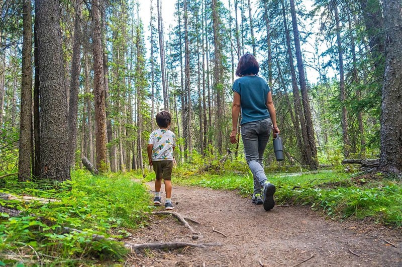 Mother and son enjoying a leisurely hike through a lush green forest in banff national park, surrounded by tall trees and fresh air, creating lasting memories amidst the beauty of nature