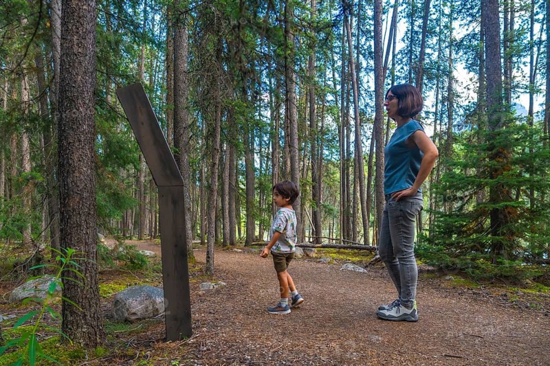 Mother and son reading an information sign while walking a forest path in banff national park, enjoying the pristine nature of canadian rockies