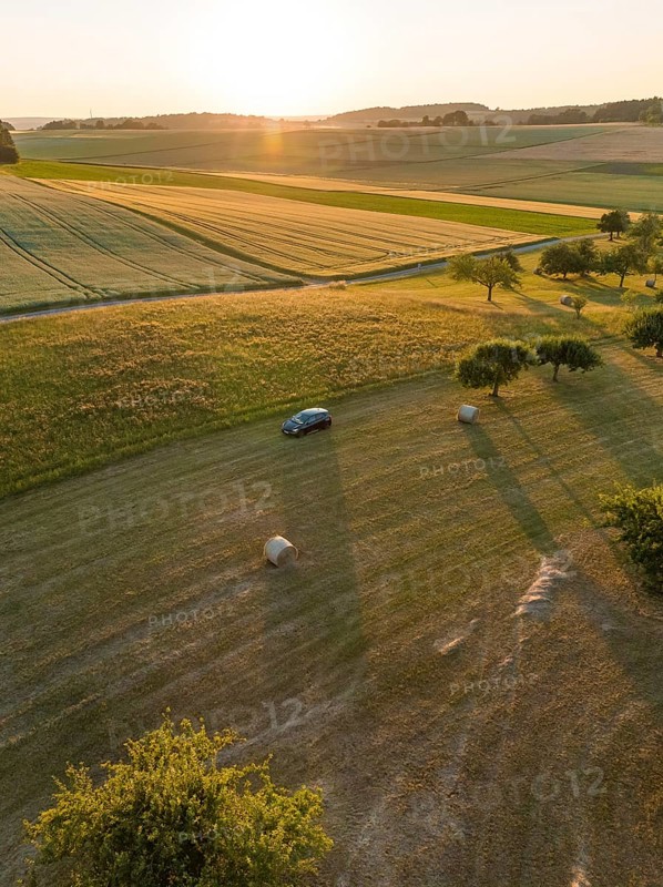 Car in a vast, sunny field landscape during sunset, deer e-car sharing, Cupra electric car, Gechingen, Germany