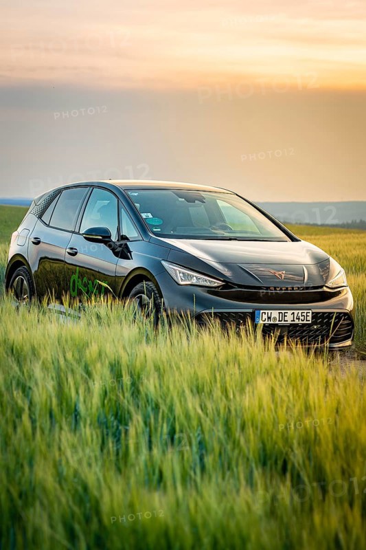 Black car standing in a field during a colorful sunset, Deer e-car sharing, Cupra electric car, Germany