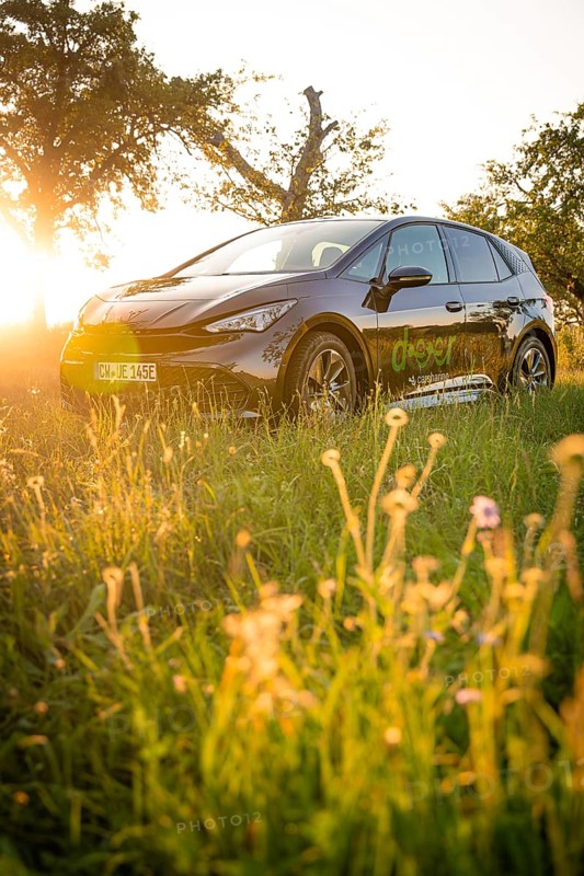 Black car in front of sunset in a meadow, deer e-car sharing, Cupra electric car, Germany